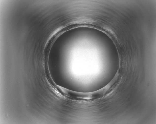 X0000066941114200603271130