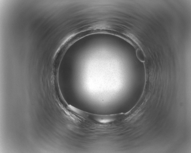 X0000066941115200603271130