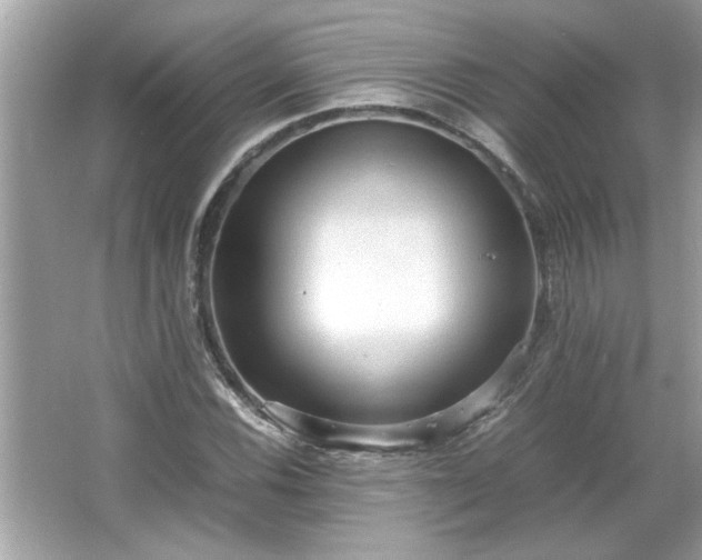 X0000066941116200603271130