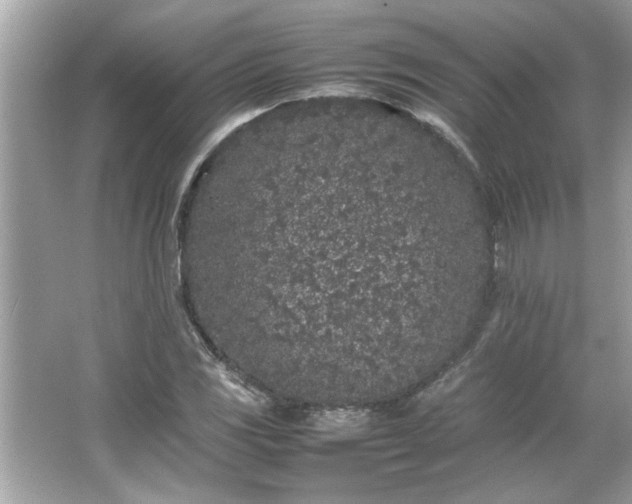 X0000066941117200603271130