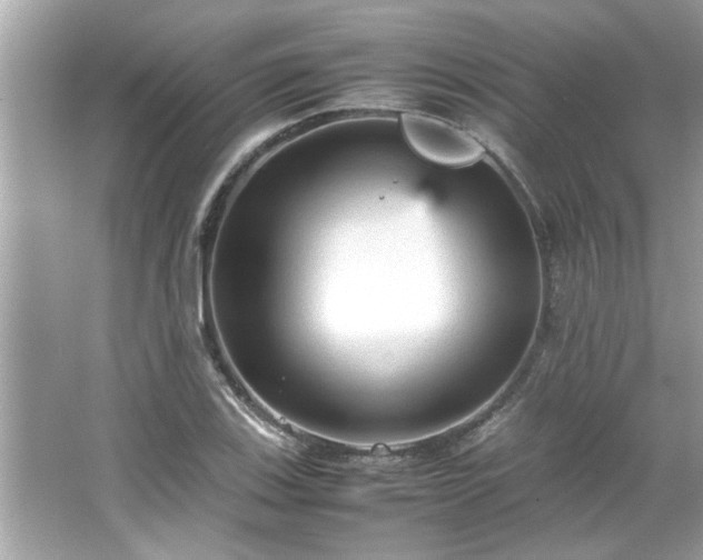 X0000066941123200603271130