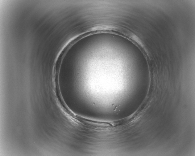 X0000066941124200603271130