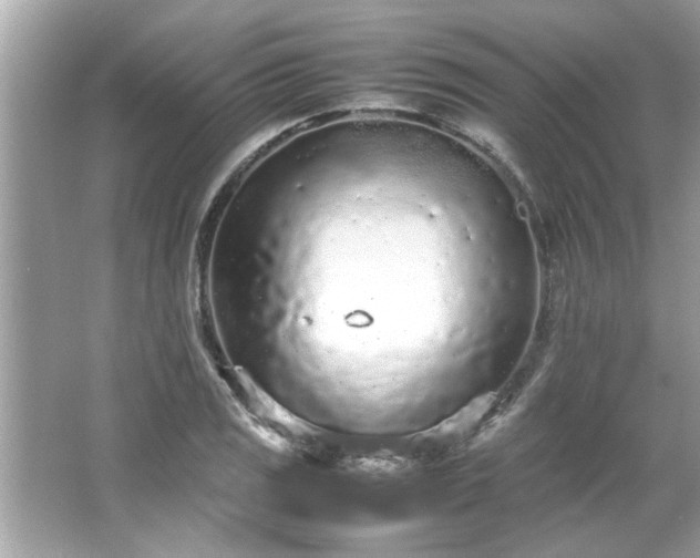 X0000066941125200603271130