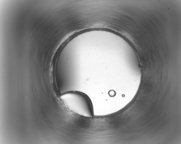 X0000066941126200603271130