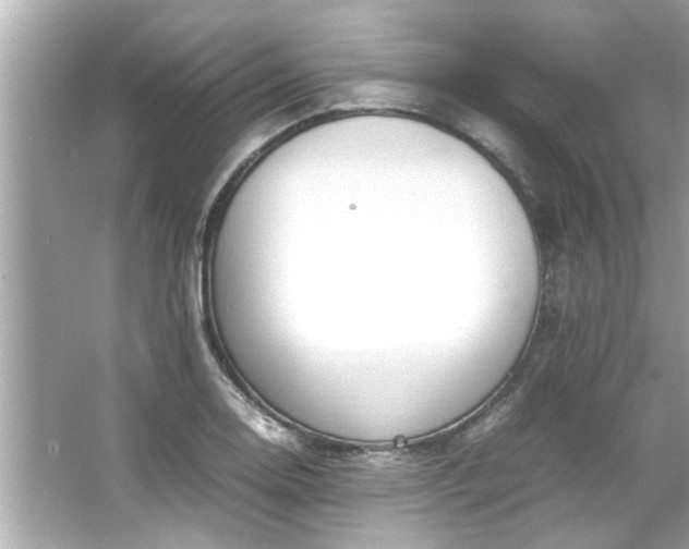 X0000066941130200603271130