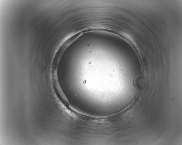 X0000066941133200603271130