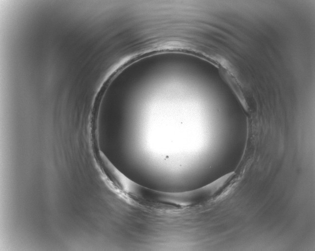 X0000066941134200603271130