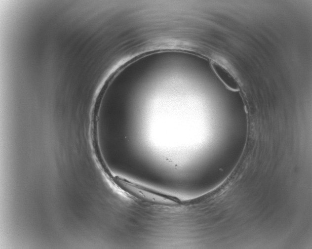 X0000066941136200603271130