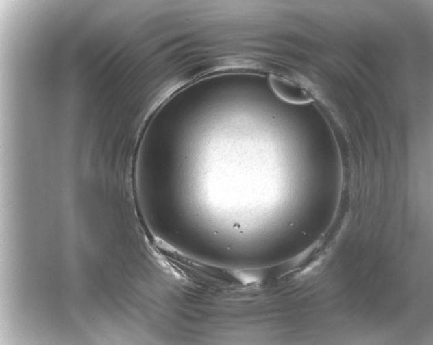 X0000066941137200603271130