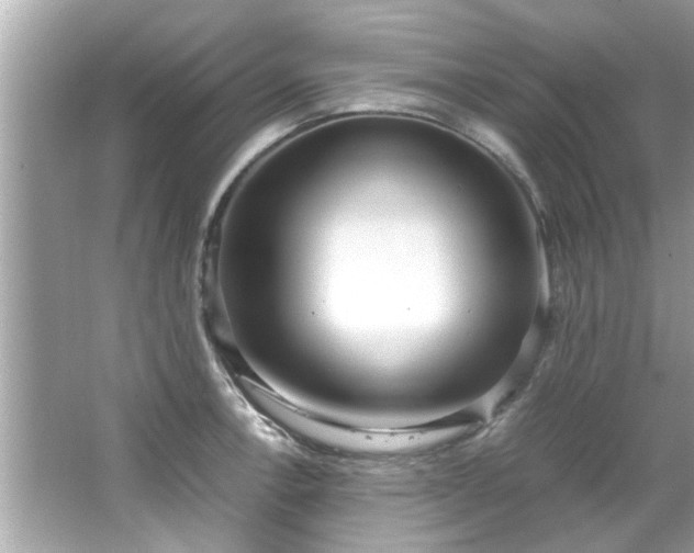 X0000066941138200603271130