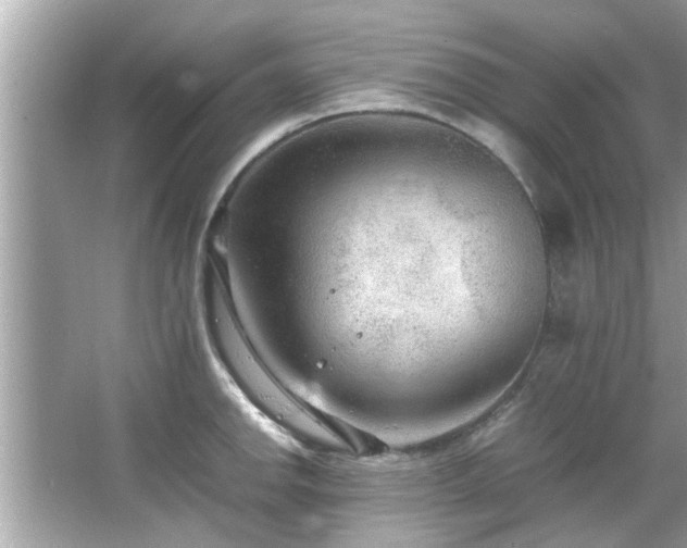 X0000066941142200603271130