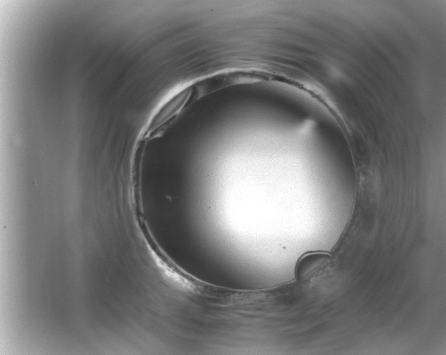 X0000066941143200603271130