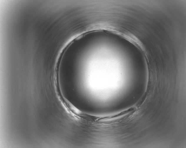 X0000066941144200603271130