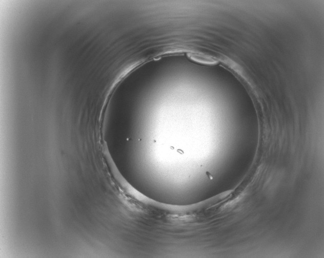 X0000066941145200603271130