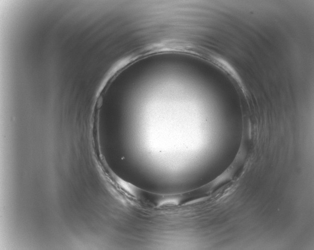 X0000066941146200603271130