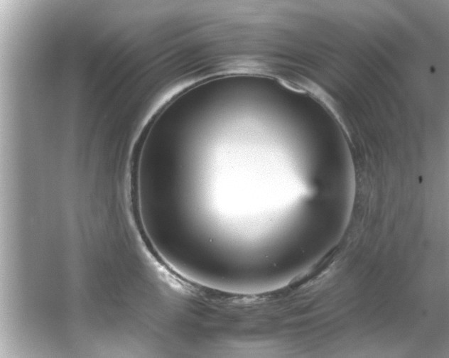 X0000066941147200603271130