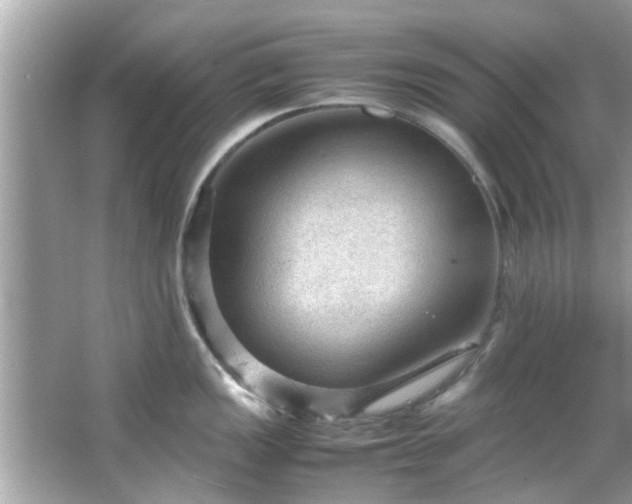 X0000066941149200603271130