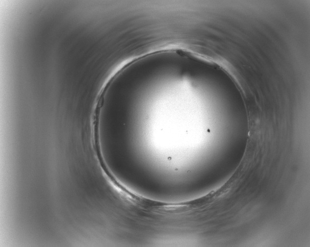 X0000066941151200603271130