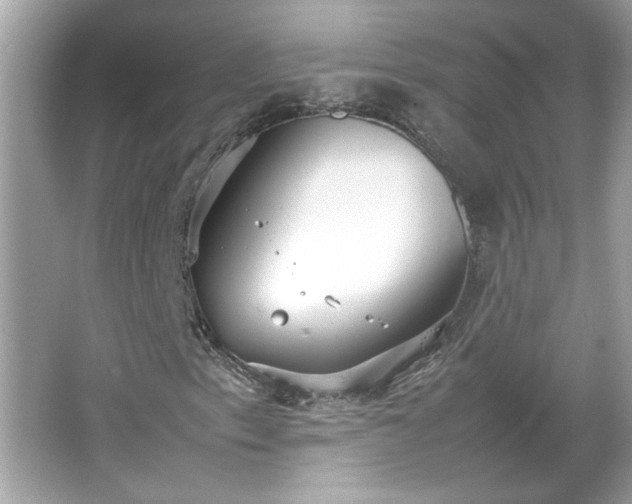 X0000066941153200603271129