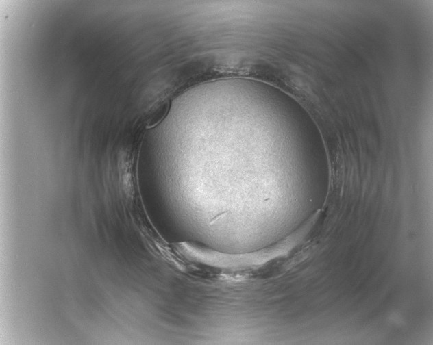 X0000066941154200603271129