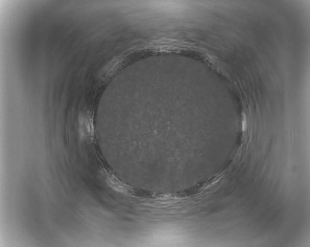 X0000066941155200603271129