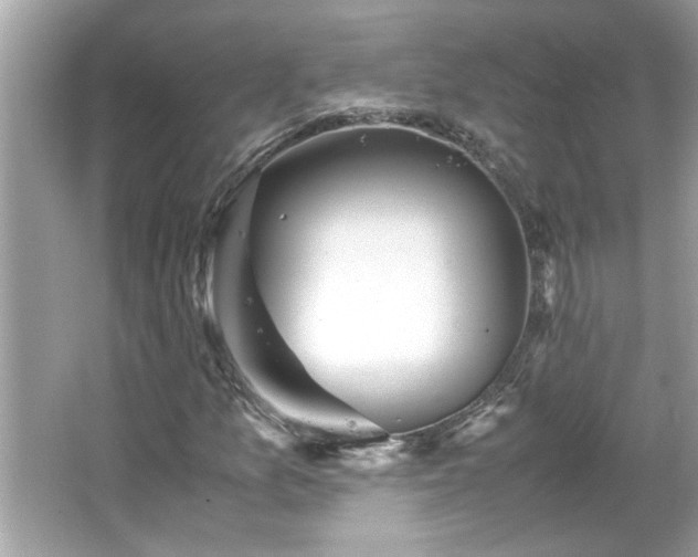 X0000066941157200603271129