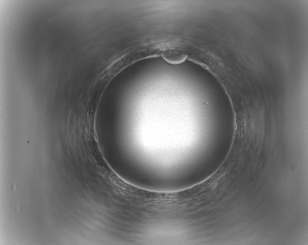 X0000066941158200603271129