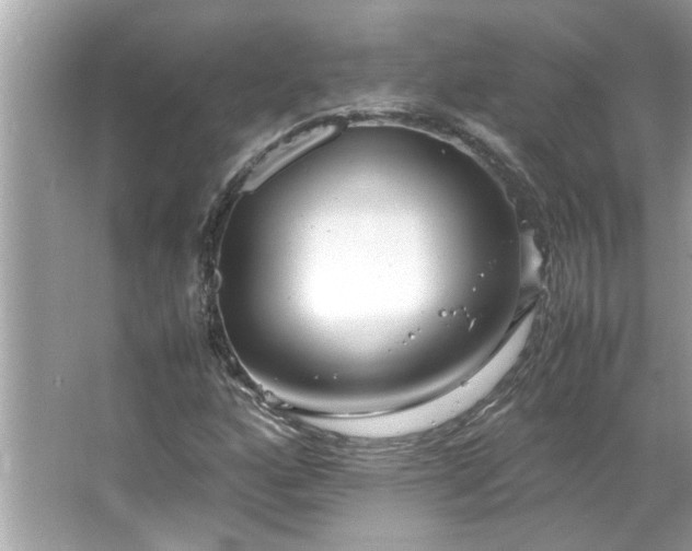 X0000066941160200603271129