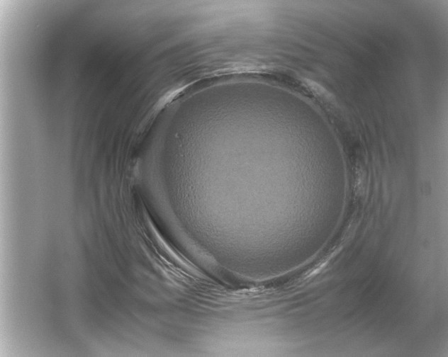 X0000066941161200603271129