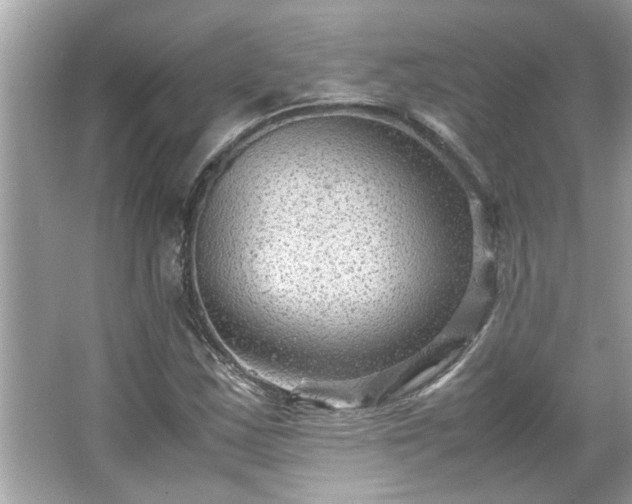 X0000066941163200603271129