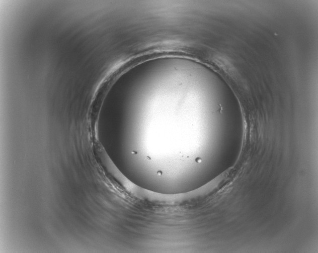 X0000066941164200603271129