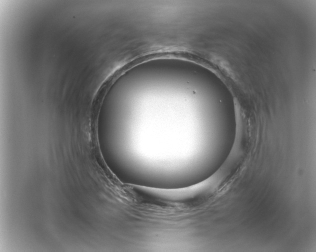 X0000066941165200603271129