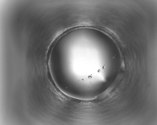 X0000066941168200603271129