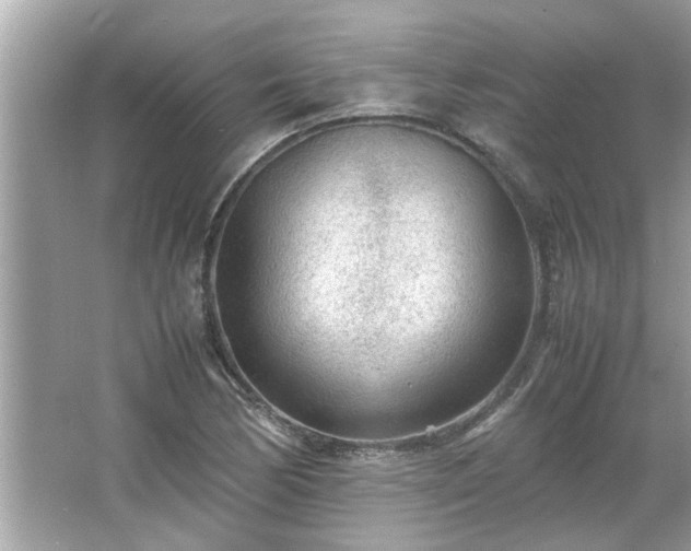 X0000066941170200603271129