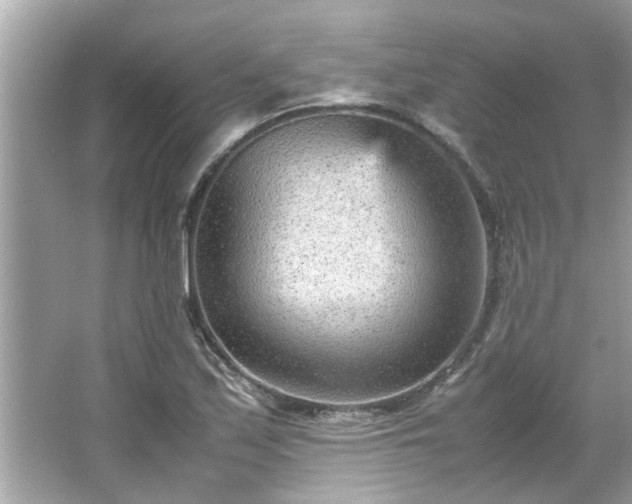 X0000066941171200603271129