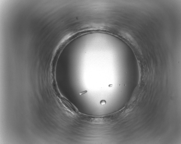 X0000066941172200603271129