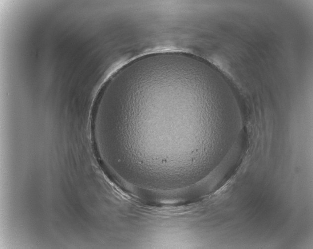 X0000066941173200603271129