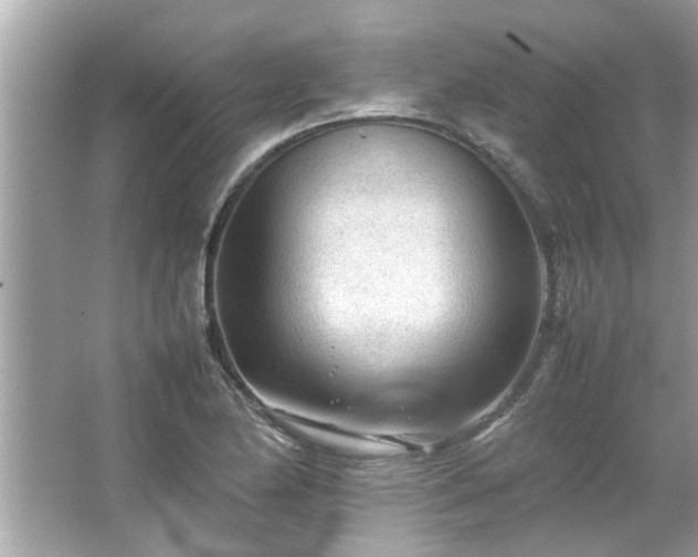 X0000066941174200603271129