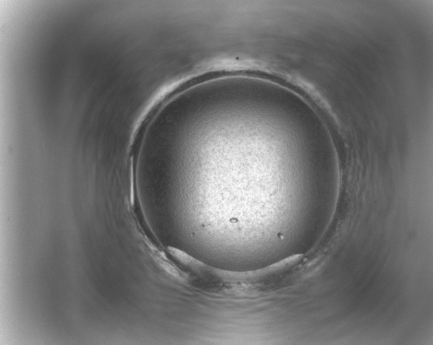 X0000066941175200603271129