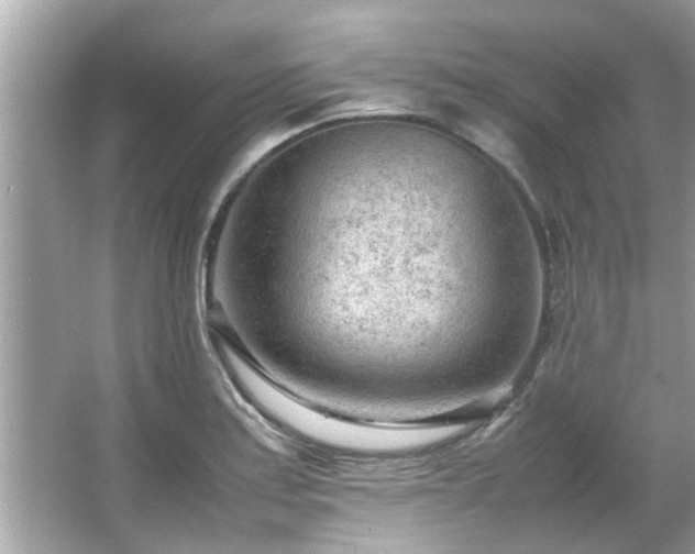 X0000066941179200603271129