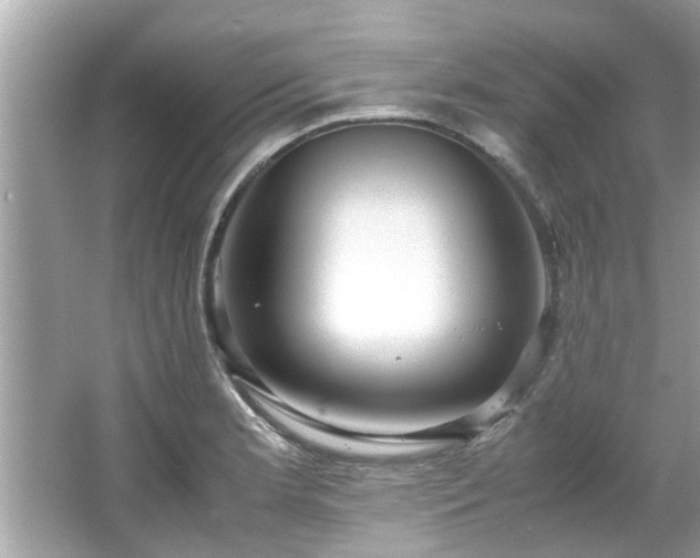 X0000066941181200603271129