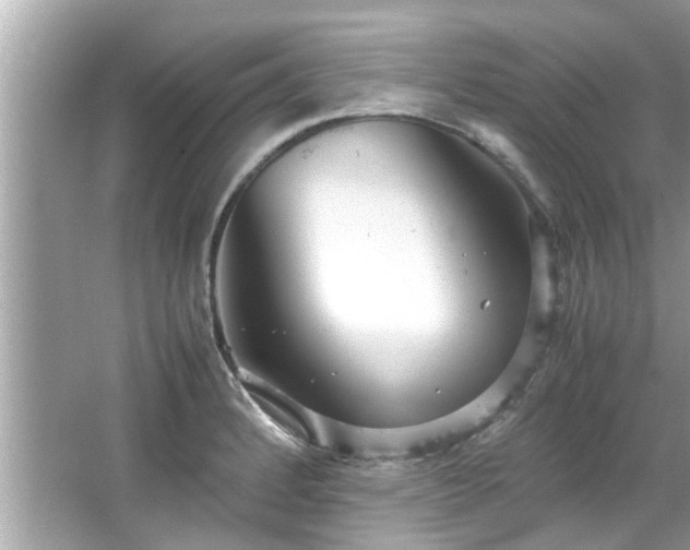 X0000066941184200603271129