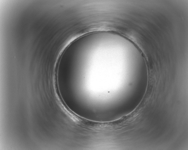 X0000066941187200603271129