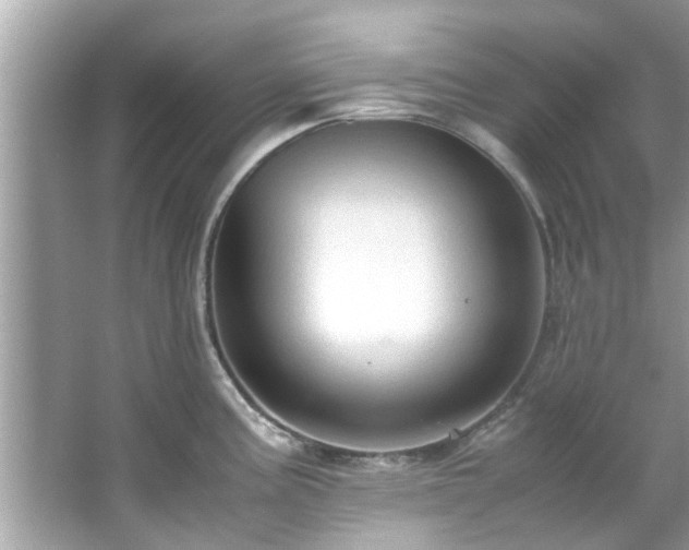 X0000066941195200603271129