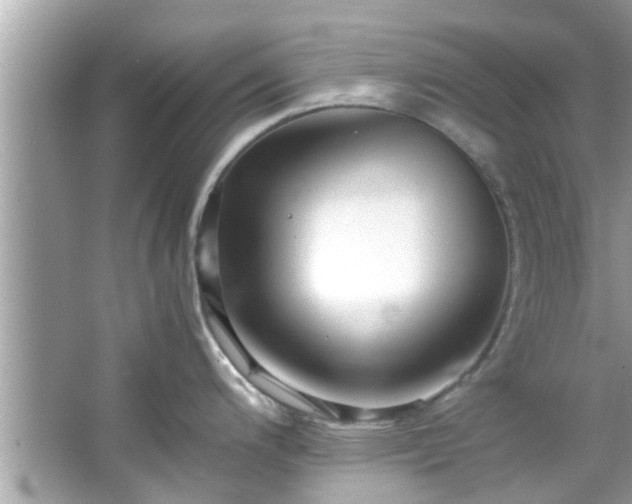 X0000066941200200603271129