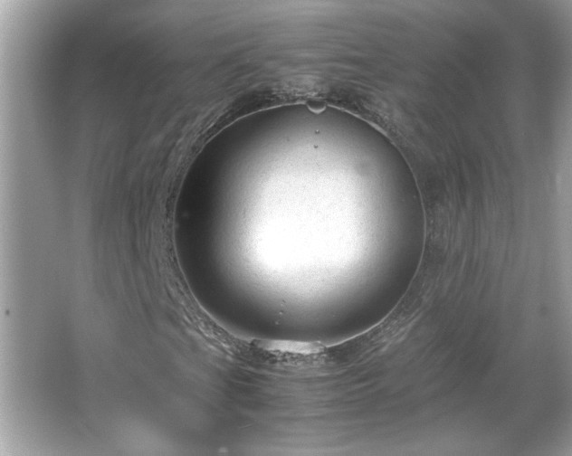 X0000066941201200603271128