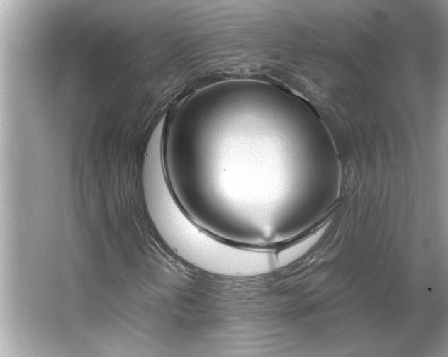 X0000066941202200603271128