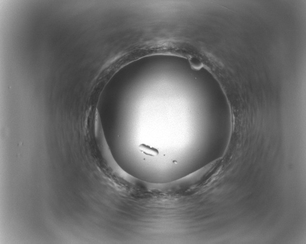 X0000066941206200603271128