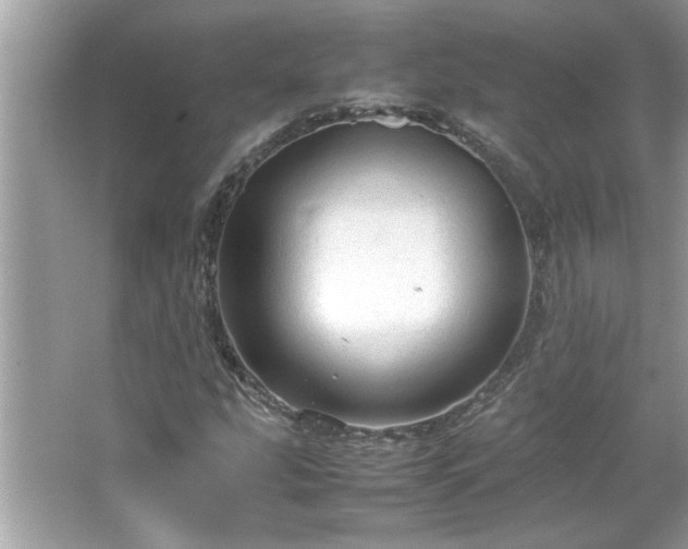 X0000066941207200603271128