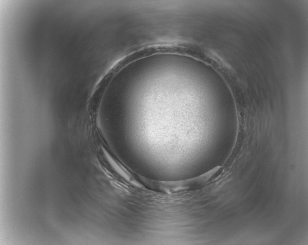 X0000066941208200603271128